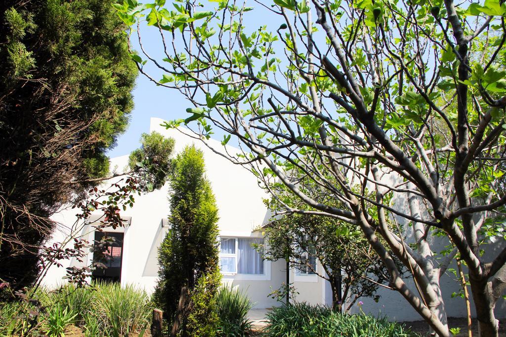 La Coscello Guest House Edenvale Εξωτερικό φωτογραφία